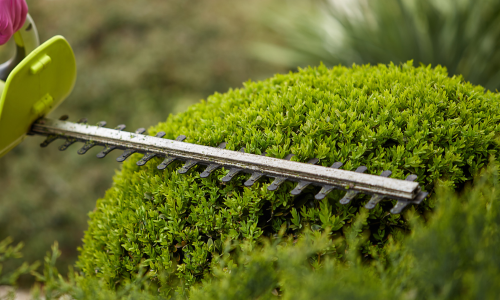A close up of a hedge trimmer being used.